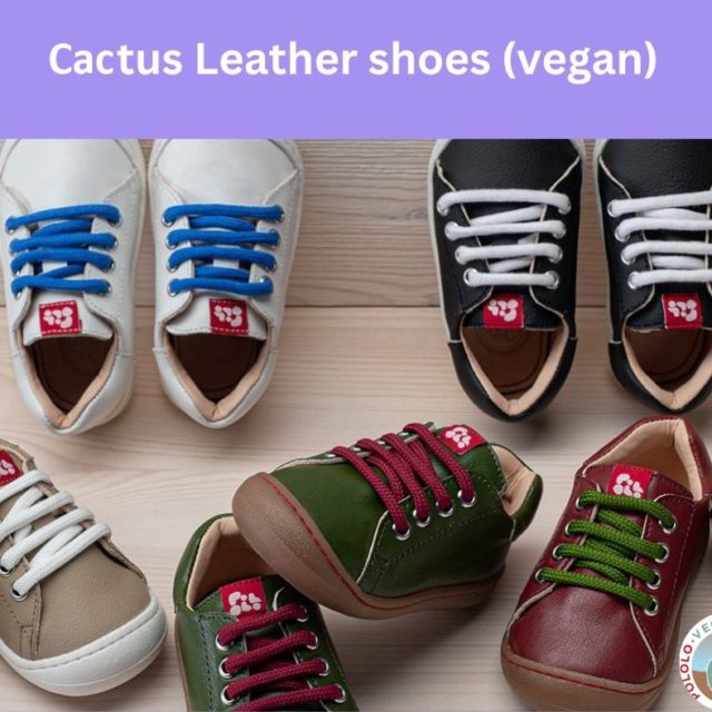 pololo-cactus-leather-alternative-shoes-header